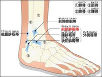 足首を使うウォーキング