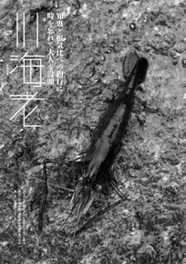 川海老