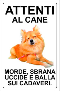 Cartello personalizzabile "ATTENTI AL CANE"