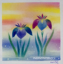 花菖蒲