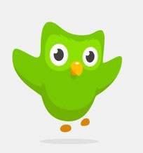 duolingo : app en website : andere taal leren