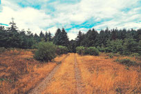 Buhne Frei Nackedei Mensch Natur Faszination Fkk Eine