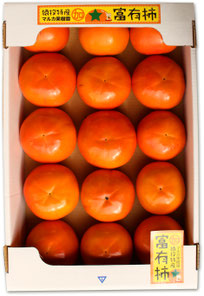 マルカ果樹園　富有柿　ギフト箱