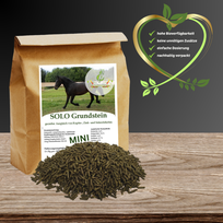 SOLO Grundstein