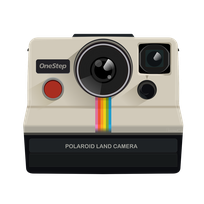 Polaroid Collection