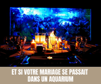 Et si votre mariage se passait dans un aquarium