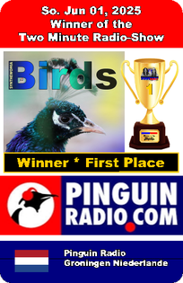  Synthewomia is Winner of the 2-Minute Show of Pinguin Radio Nederlande