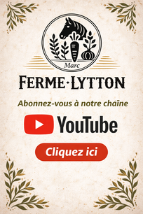 Chaîne YouTube Lytton (Canada) : vie rurale authentique dans les bois au Québec, travail avec un cheval de trait, ferme maraîchère traditionnelle, autonomie alimentaire et vie en forêt.