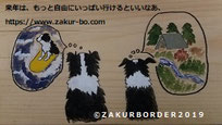 ＺＡＫＵＲＢＯＲＤＥＲ（サクールボーダー）のブログ、ボーダーコリーＭ＆Ｅ２０２０１００２使用画像１