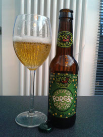 Amazon Beer Forest Bacuri