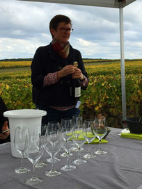 degustation-de-vins-dans-le-vignoble-oenologie-Vouvray-Touraine-Tours-Amboise-activite-originale-insolite-Rendez-Vous-dansles-Vignes-Myriam-Fouasse-Robert