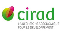 Logo et accès au site Web du CIRAD