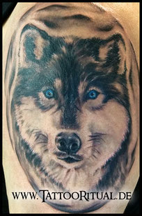Tattoo Rostock, Tattoo Wolf, TattooRitual