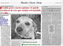 Chistes en noticias