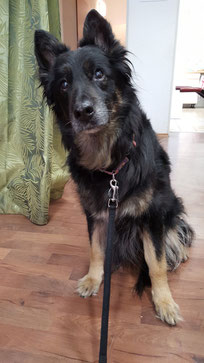 Conny, Foto: Oetken