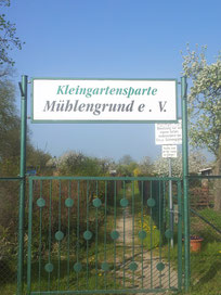 Eingang Kleingartenverein Kleingartenanlage Mühlengrund Nauen Freie Gärten