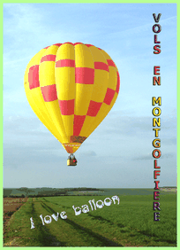 Survol en montgolfière de la campagne sénonaise - Bourgogne