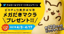 ポケモン懸賞-東京ばな奈-ピカチュウ抱き枕プレゼント