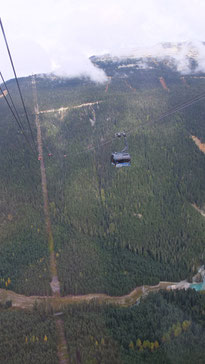 Peak to Peak Gondola