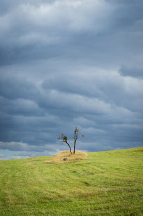 Ore mountains, Czech republic, ©2020