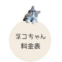 猫の料金表