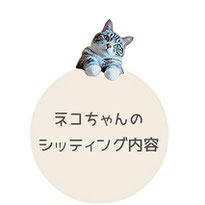 猫のシッティング内容