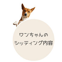 犬のシッティング内容