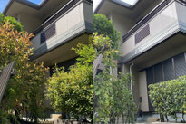 八王子市で剪定する植木屋「纏造園」
