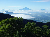 権現岳中腹からの富士山