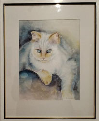 Weiße Kuschelkatze 40x50 Aquarell