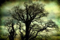 nature painting impressionism dream tree 