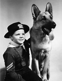 serie rintintin et rusty noir et blanc berger allemand