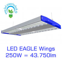 LED Hallenleuchte 250W