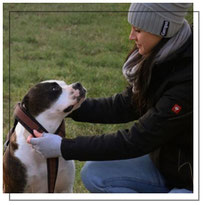 Individuelle Hundeschule, Hundetraining, Verhaltenstraining, Wäschenbeuren, Göppingen, Treue Hundpfoten