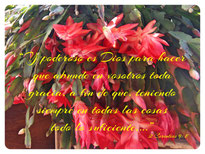 foto con verso 2 Corintios 9: 8