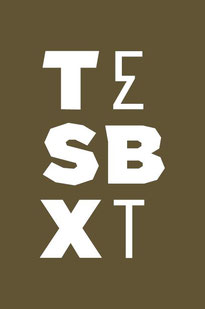 logo for TORR Elite Snowboard Cross Team