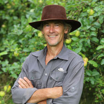 B. Röhr