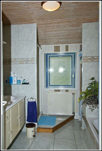 Salle de bains avec douche et baignoire