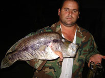 Pesca de Guapote en Lago Arenal