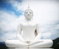 Meditation Budda