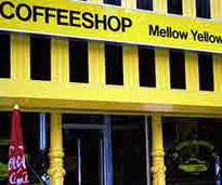 Coffee Shop Mellow Yellow Amsterdam