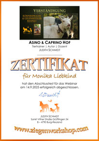 Beispiel