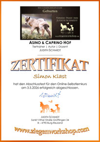 Beispiel