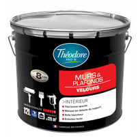 Theodore PRO'G Murs et Plafonds