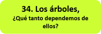 Los árboles, ¿Qué tanto dependemos de ellos?