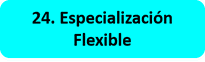 Especialización Flexible