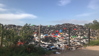 „Schattenseiten des Paradieses: Die Herausforderung der Abfallentsorgung. Bilder wie dieses verdeutlichen die dringende Notwendigkeit für globale Kreislaufwirtschaft und nachhaltige Entsorgungskonzepte. environment-consulting.com Ihr partner in Sri Lanka