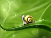 Foto: Pixabay