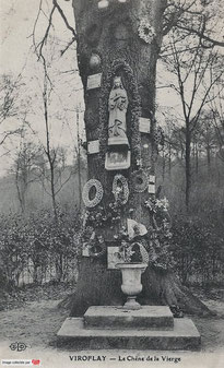 Le Chêne de la Vierge à Viroflay .