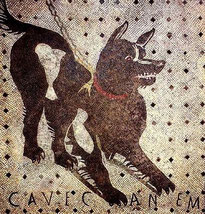Cave canem Wachhund Pompeii Spitz Hund